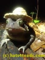 /home//u458753944/public_html/sourcegallery////////////////////////McKaig Nature Center/2024-09-27/P9271584.JPG